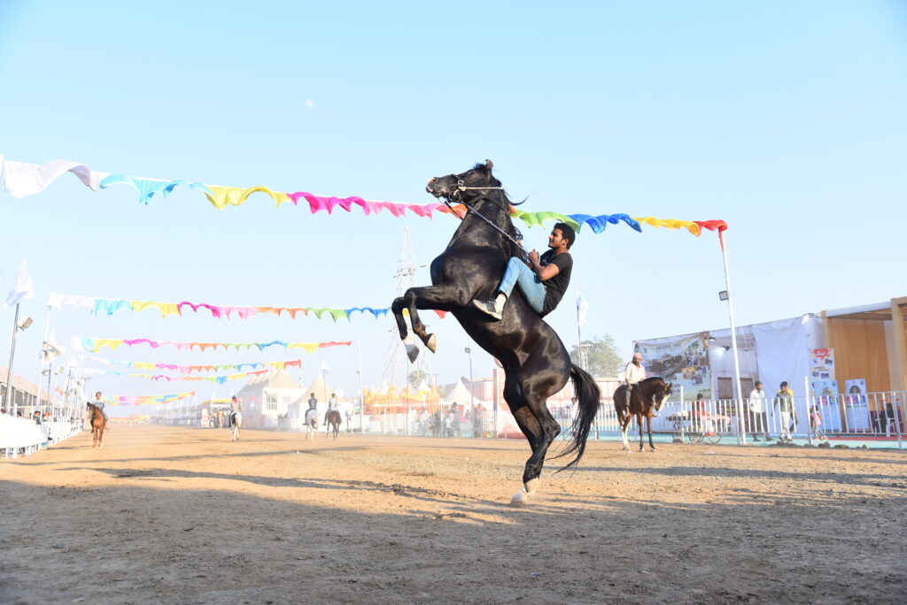 Chetak Festival Sarangkheda 